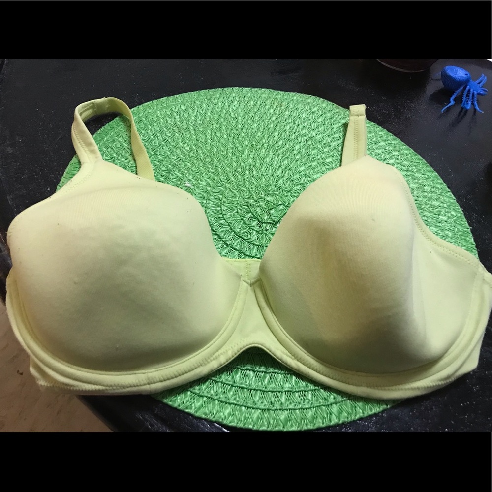 Vs body by Victoria bra size 36d